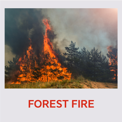 шумски-пожари